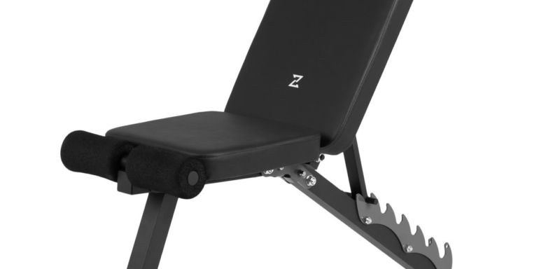 Zipro Tempo edzőpad expanderekkel