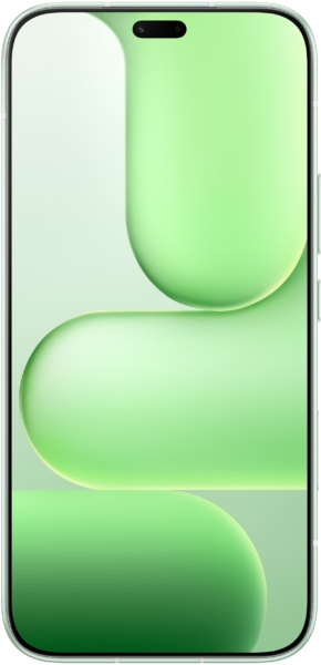 HONOR 600 Lite 8GB/256GB Sprout Green